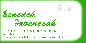 benedek havancsak business card