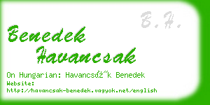 benedek havancsak business card